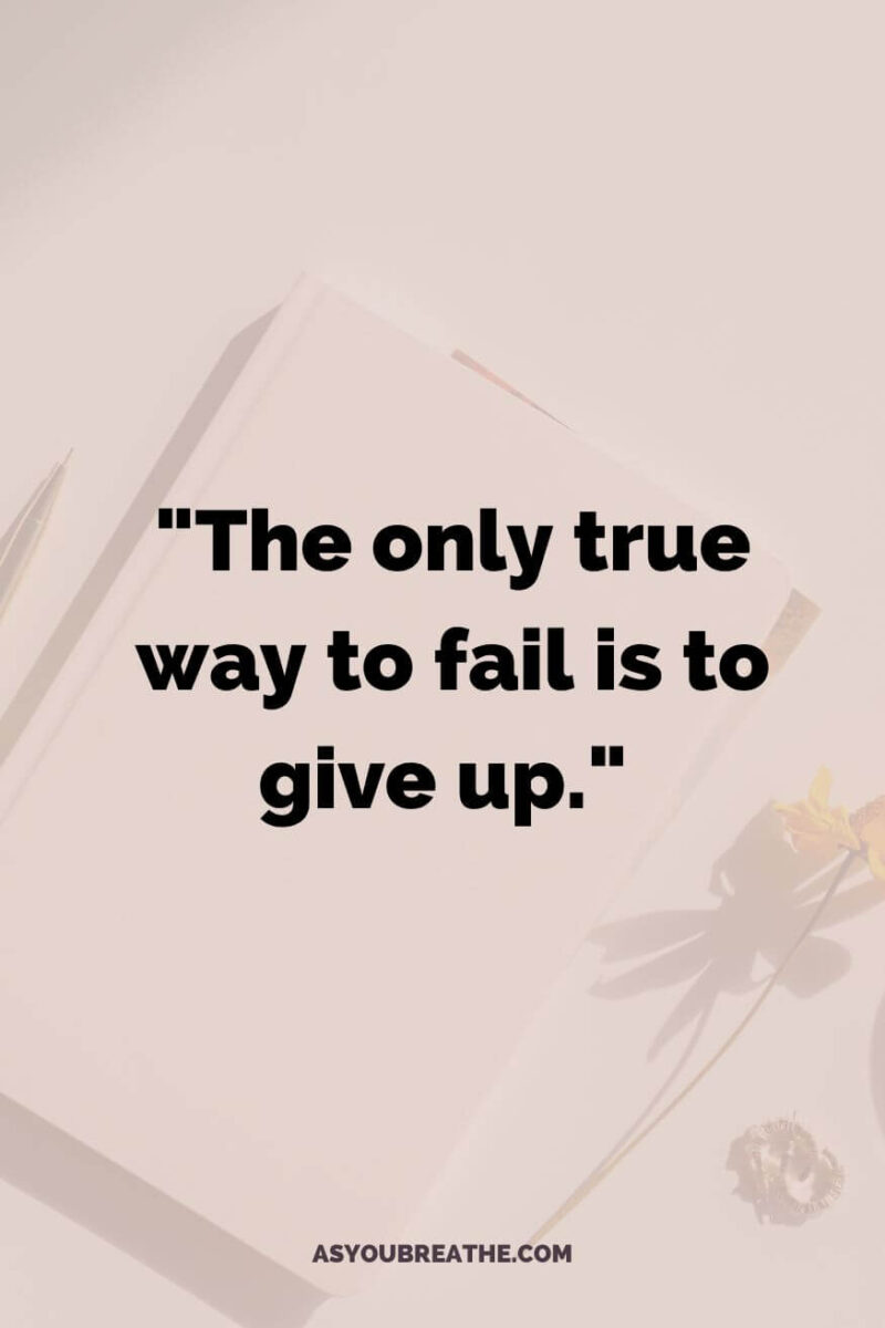 65 Growth Mindset Quotes To Achieve Your Dreams 65 Growth Mindset Quotes To Achieve Your Dreams