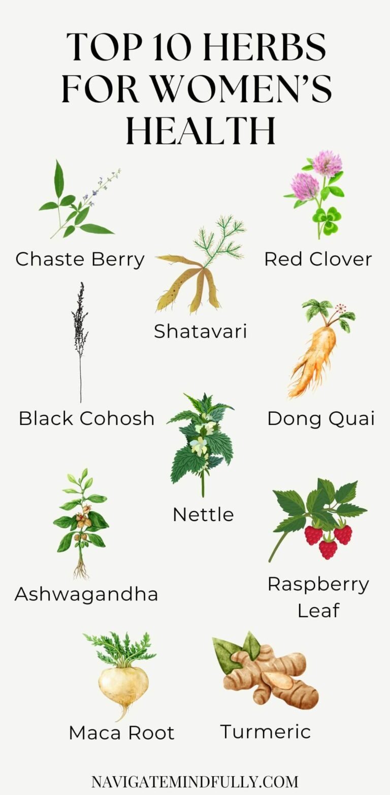 Curated visual reference: Top 10 Herbs For Women S Health To Balance Your Photo Inspiration