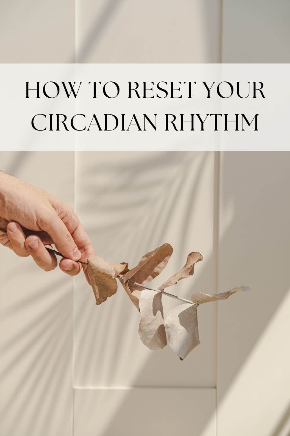 What is Your Circadian Rhythm and How to Reset It